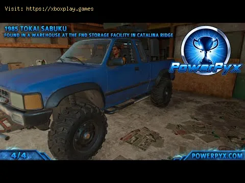Video preview