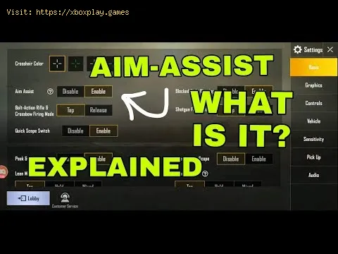 Video preview