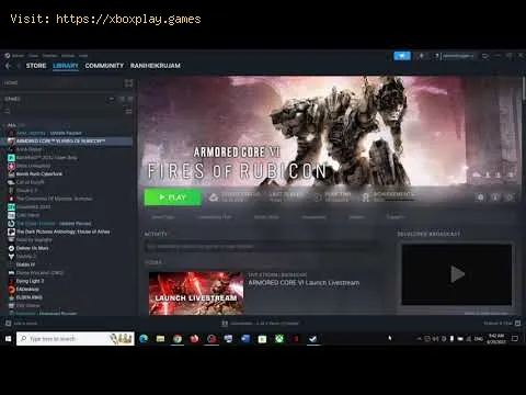 Video preview