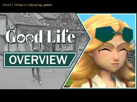 Video preview