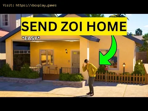Video preview
