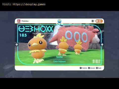 Video preview