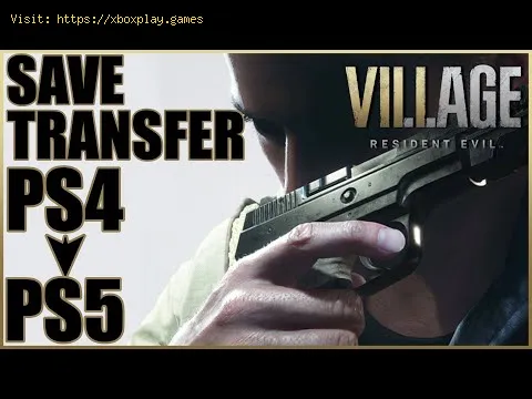 Video preview