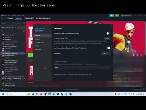 Video preview