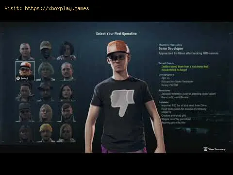 Video preview