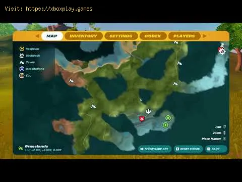 Video preview