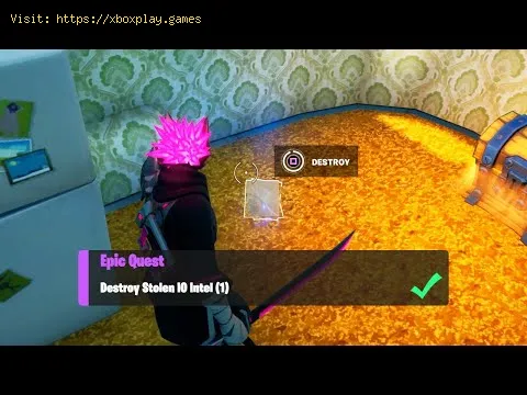 Video preview