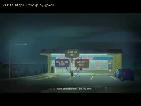 Video preview