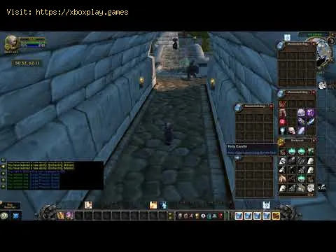 Video preview