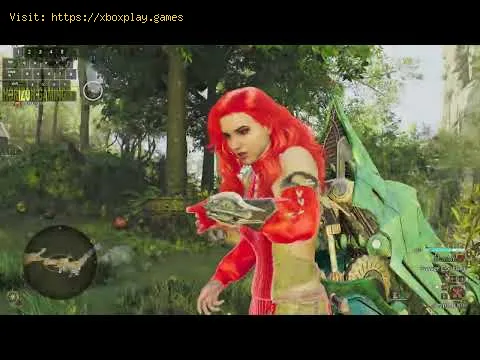 Video preview