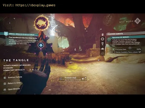 Video preview