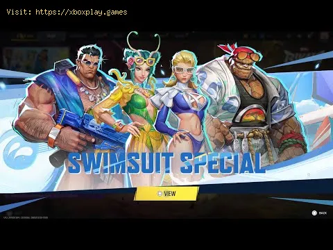 Video preview