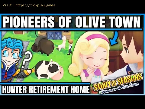 Video preview