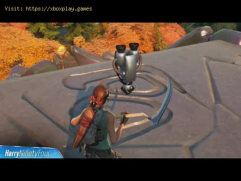 Video preview