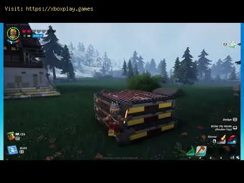 Video preview
