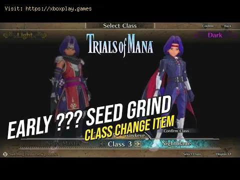 Video preview