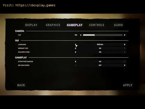 Video preview