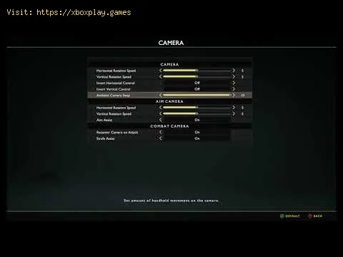 Video preview