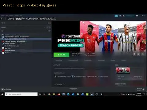 Video preview