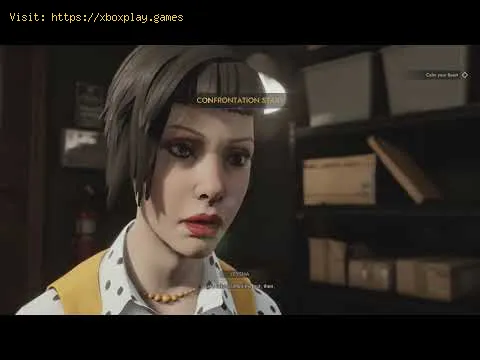 Video preview