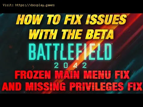 Video preview