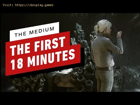 Video preview
