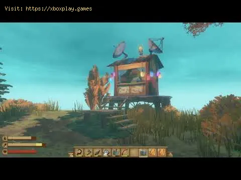 Video preview