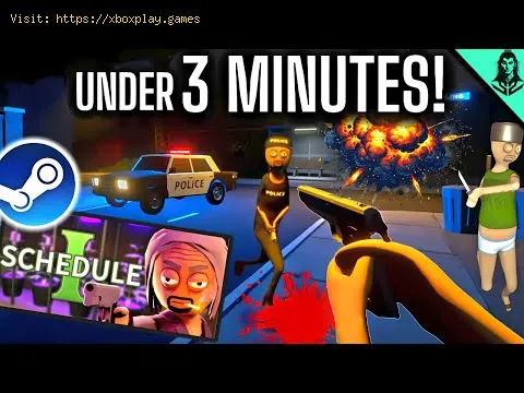Video preview