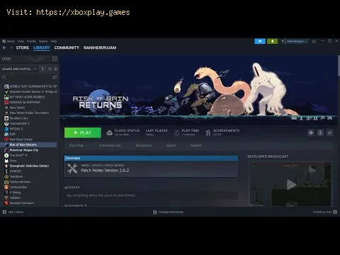 Video preview