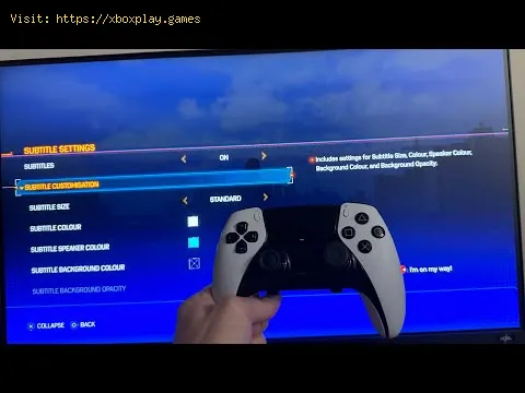 Video preview