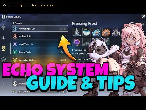 Video preview