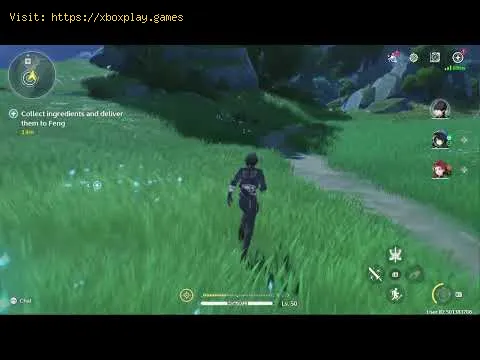 Video preview