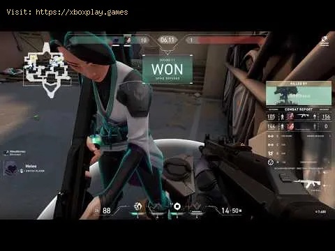 Video preview