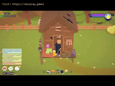 Video preview