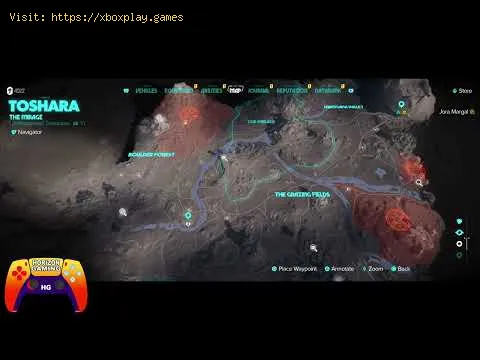 Video preview