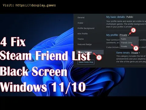 Video preview