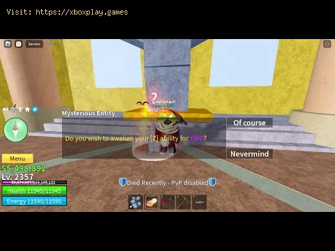 Video preview
