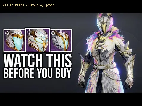 Video preview