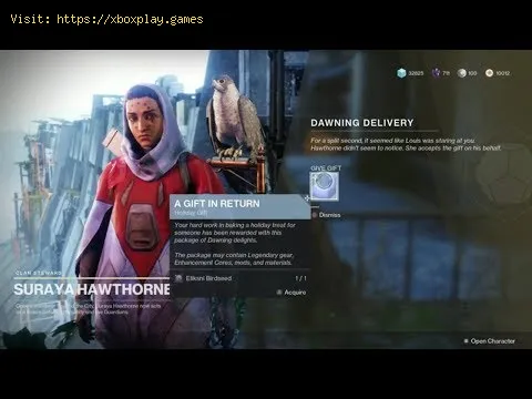 Video preview