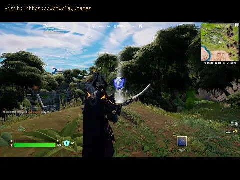 Video preview