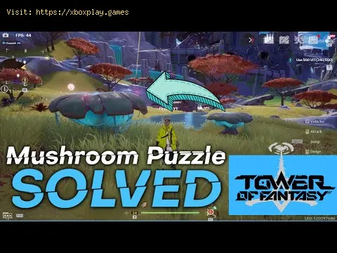 Video preview