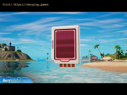 Video preview