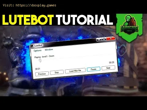 Video preview