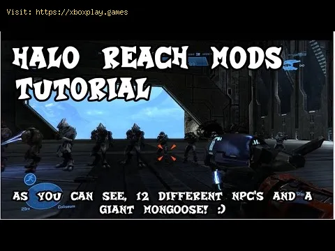Video preview