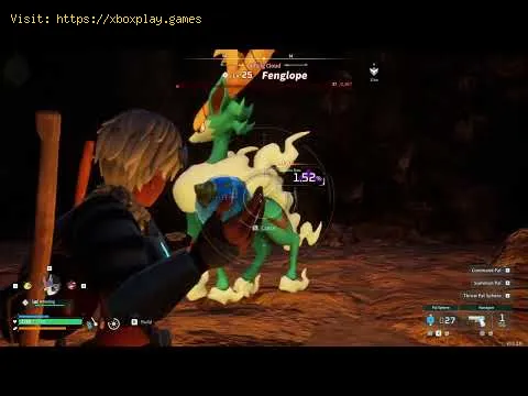 Video preview
