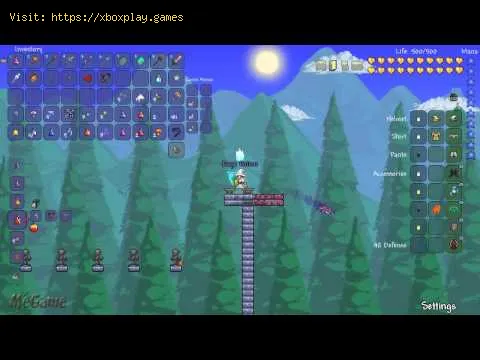 Video preview