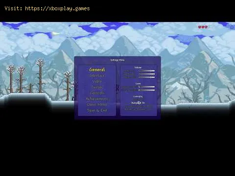 Video preview