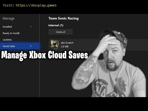 Video preview