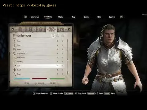 Video preview