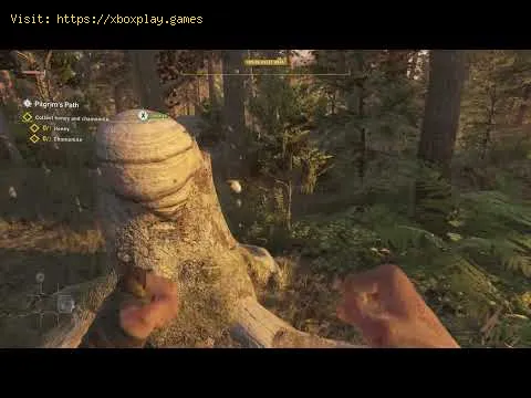 Video preview